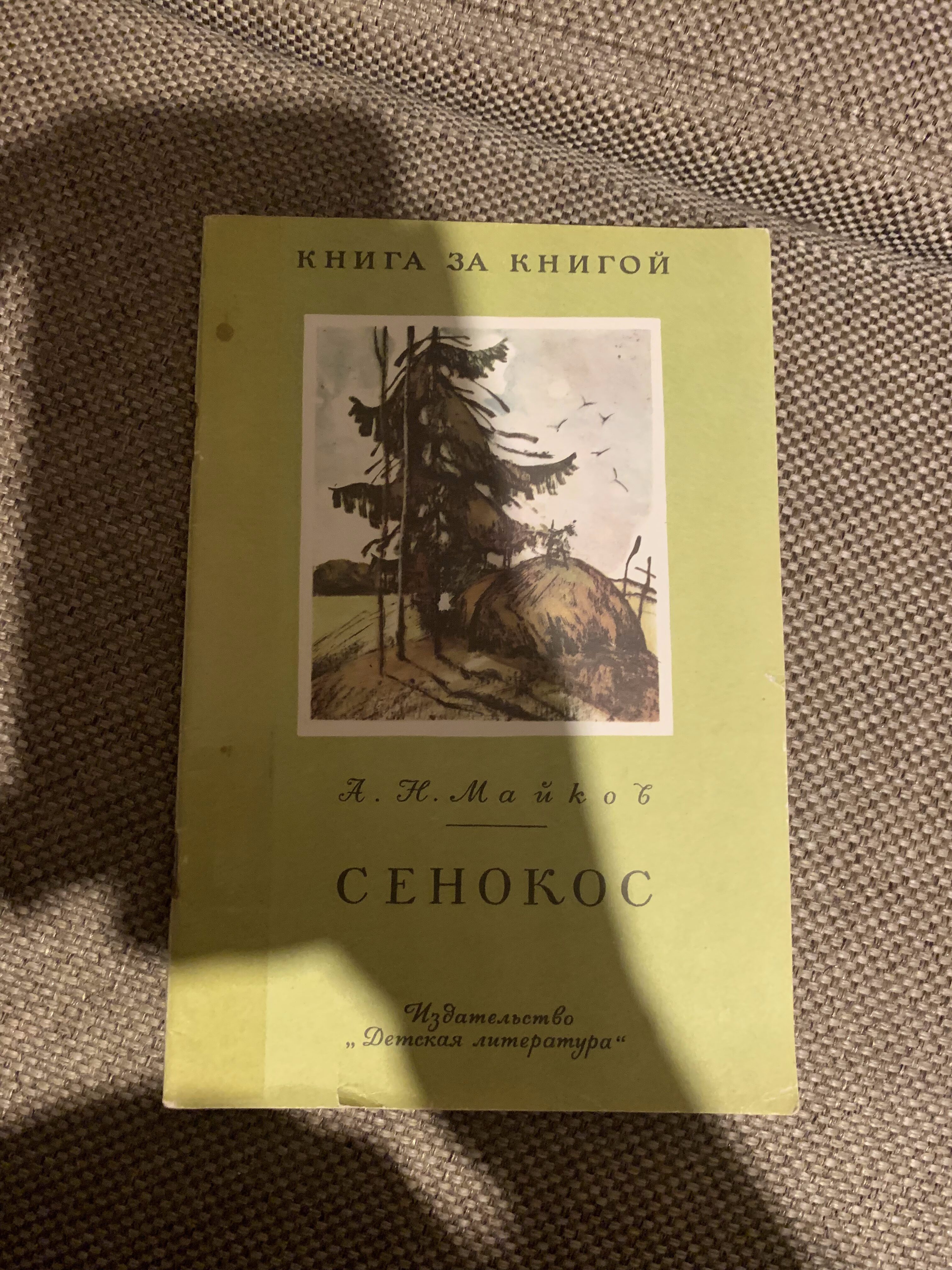 Сенокос, А. Н. Майков, Книга за книгой